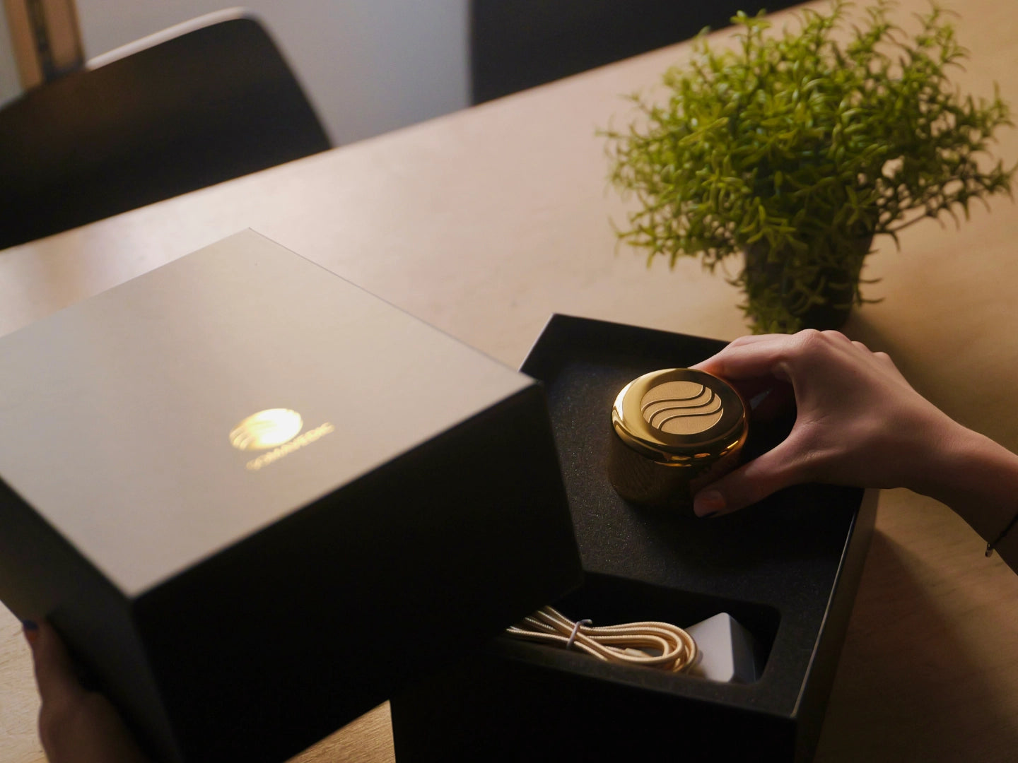 Somavedic Elaura - Luxury Harmonization Device for Your Car, Home